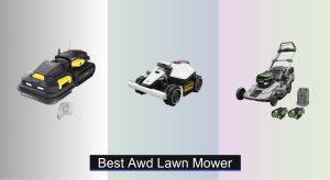 6 Best AWD Lawn Mowers to Buy in 2025