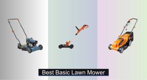6 Best Basic Lawn Mowers to Buy in 2025