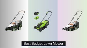 6 Best Budget Lawn Mowers to Buy in 2025