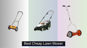 6 Best Cheap Lawn Mowers to Buy in 2025