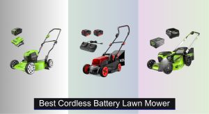 6 Best Cordless Battery Lawn Mowers of 2025