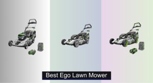 7 Best EGO Lawn Mowers to Buy in 2025