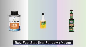 Extraordinary Fuel Stabilizer For Lawn Mower Gallery