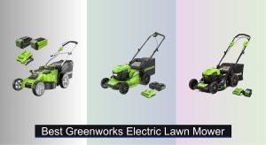 6 Best GreenWorks Electric Lawn Mowers of 2025
