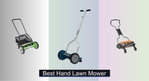 6 Best Hand Lawn Mowers to Buy in 2025