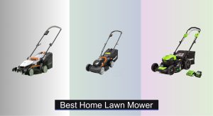 6 Best Home Lawn Mowers of 2025