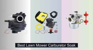 5 Best Lawn Mower Carburetor Soaks to Buy in 2025