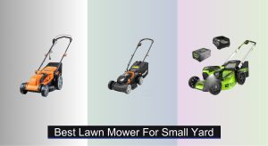 6 Best Lawn Mowers for Small Yards of 2025