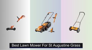 3 Best Lawn Mowers for St Augustine Grass 2025