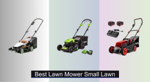 6 Best Lawn Mowers for Small Lawns of 2025