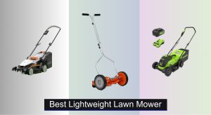 6 Best Lightweight Lawn Mowers of 2025