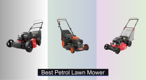 4 Best Petrol Lawn Mowers to Buy in 2025
