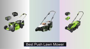 6 Best Push Lawn Mowers to Buy in 2025