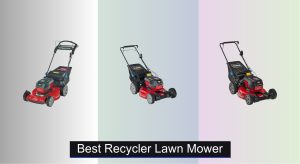 4 Best Recycler Lawn Mowers to Buy in 2025
