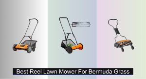 6 Best Reel Lawn Mowers for Bermuda Grass of 2025