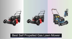 6 Best Self-Propelled Gas Lawn Mowers of 2025