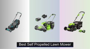 6 Best Self Propelled Lawn Mowers to Buy in 2025