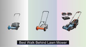 3 Best Walk Behind Lawn Mowers to Buy in 2025