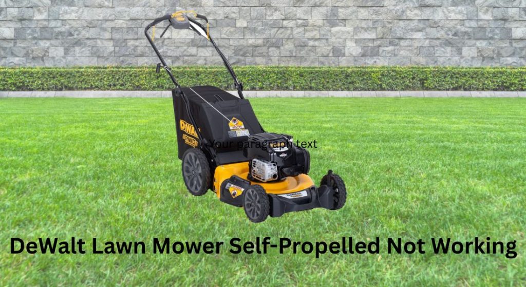 dewalt lawn mower not working