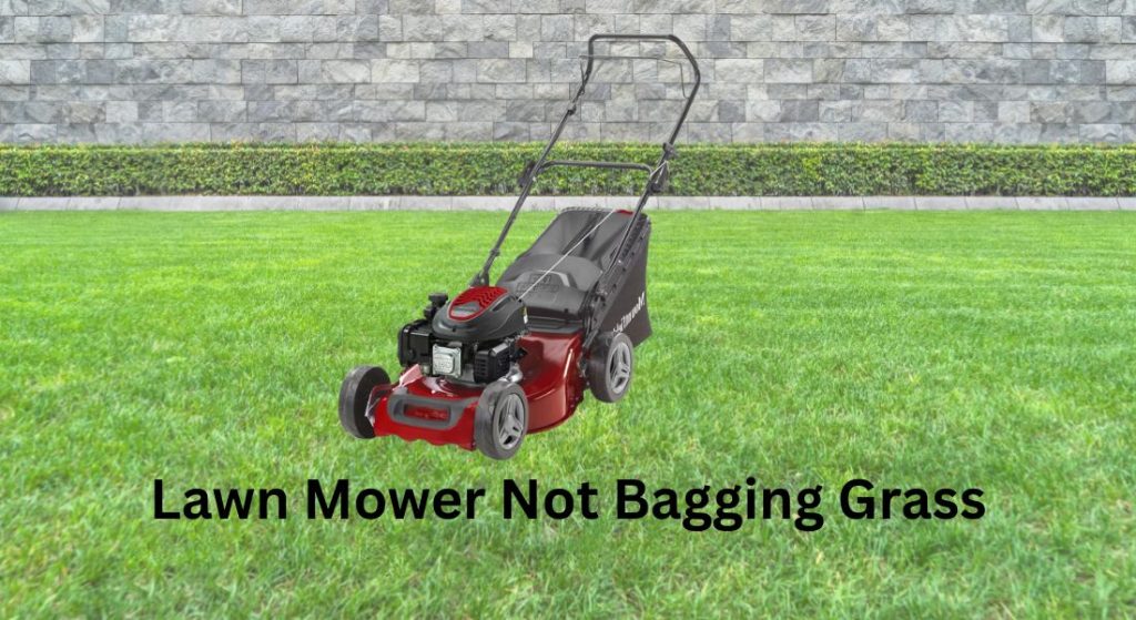 lawn mower