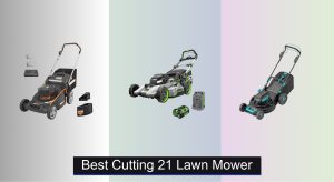 8 Best Cutting 21″ Lawn Mowers to Buy in 2025