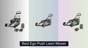 6 Best Ego Push Lawn Mowers to Buy in 2025