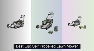 6 Best EGO Self-Propelled Lawn Mowers of 2025