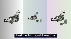 6 Best EGO Electric Lawn Mowers of 2025