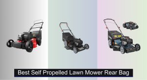 7 Best Self-Propelled Lawn Mowers with Rear Bag 2025
