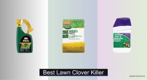 7 Best Lawn Clover Killers of 2026