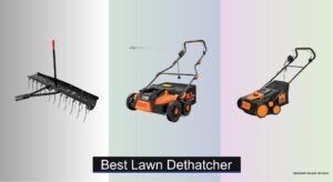 8 Best Lawn Dethatchers of 2026