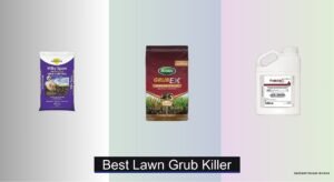 7 Best Lawn Grub Killers of 2026