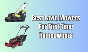 5 Best Lawn Mowers For First Time Homeowners (2026)