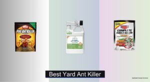 8 Best Yard Ant Killers of 2026