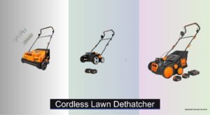 4 Best Cordless Lawn Dethatchers 2026