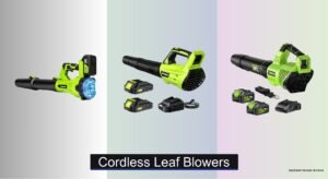 8 Best Cordless Leaf Blowers of 2026