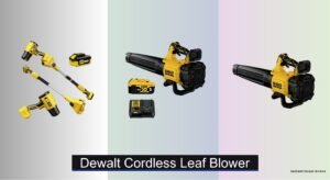 6 Best DeWalt Cordless Leaf Blowers 2026