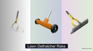 8 Best Lawn Dethatcher Rakes of 2026